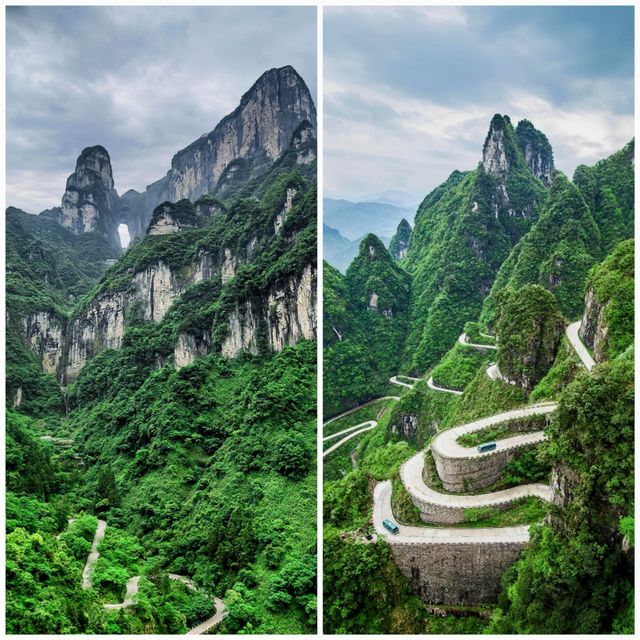 張家界保姆級攻略 峰林雲霧裡的治癒之旅 張家界保姆級攻略 峰林雲霧裡的治癒之旅