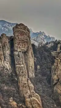 嶗山修仙回來，腿還是自己的～附門票攻略