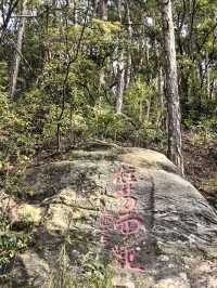竹林寺∽廬山“空中佛國”！