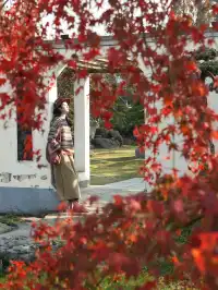 在成都拍到了和蘇州一樣的園林秋景！