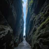 來一場說走就走的武夷山之旅吧