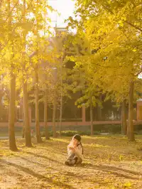 找到了!上海黃得最早的銀杏林免費人少