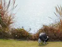 小狗和小馬一起低頭可愛鼠了！