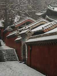 鄭州-洛陽5日遊 保姆級攻略來啦