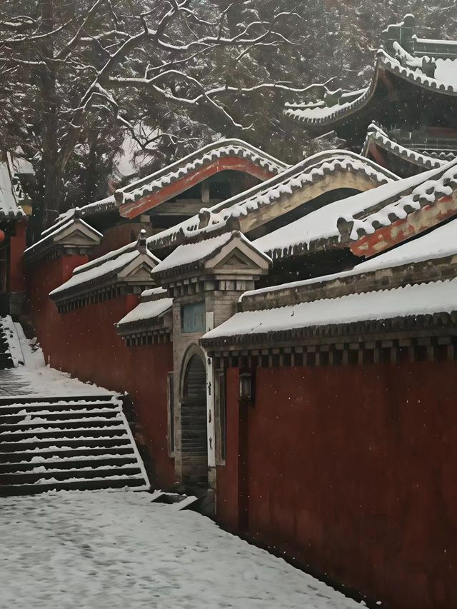 鄭州-洛陽5日遊 保姆級攻略來啦