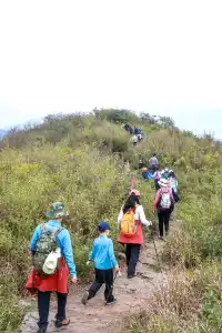 山野童行丨烏龍古道+八都岕一日暴走攻