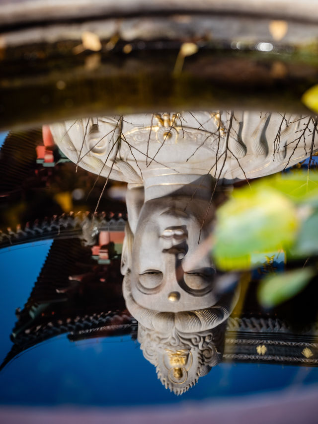 南京秋日毗盧寺的銀杏與佛光 南京秋日毗盧寺的銀杏與佛光