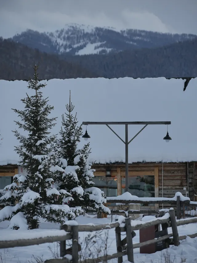 禾木的雪在發光|民宿把雪山鑲進了窗台 禾木的雪在發光|民宿把雪山鑲進了窗台