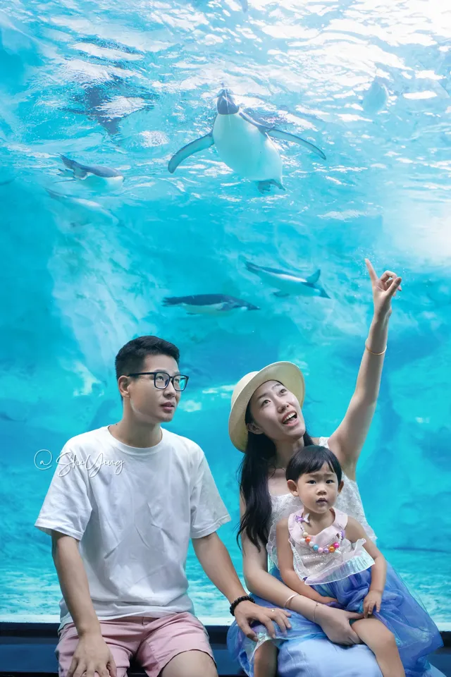 珠海長隆海洋王國|夢幻光影,美到窒息 珠海長隆海洋王國|夢幻光影,美到窒息