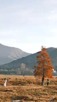 南京周邊遊——皖南的秋