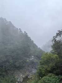廬山雲海四觀