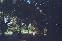 一座城一卷膠|南寧