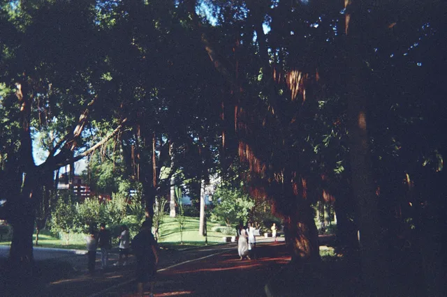 一座城一卷膠|南寧 一座城一卷膠|南寧