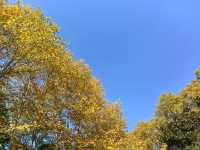 中山植物園就是靜奢風的天花板，閉眼入不虧！