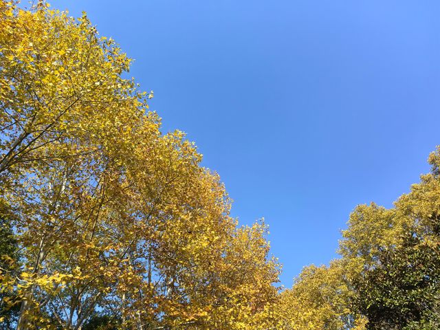 中山植物園就是靜奢風的天花板，閉眼入不虧！