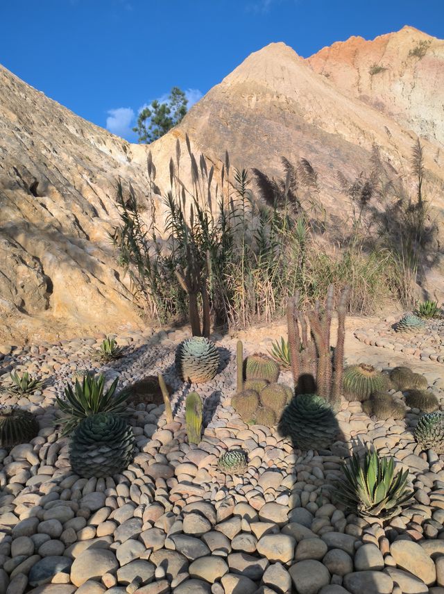 建水五龍湖四重奏 建水五龍湖四重奏