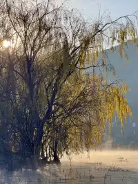 兩次瀘沽湖|寫給想慢下來的人。