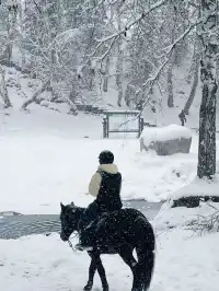 阿勒泰冬季打卡9大封神機位（附3k＋攻略！