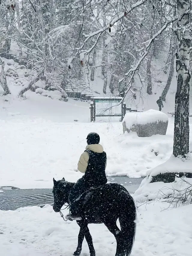 阿勒泰冬季打卡9大封神機位（附3k＋攻略！