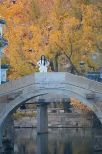 是何老師同款濮院！《嚮往》裡的秋日油畫江南！