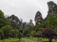 張家界24h|從仙境跌入千年非遺夜宴