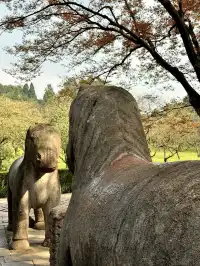 我在南京拍到了莫奈的睡蓮,想看看你拍的