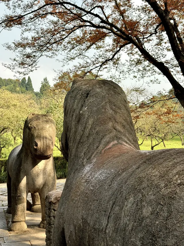 我在南京拍到了莫奈的睡蓮,想看看你拍的 我在南京拍到了莫奈的睡蓮,想看看你拍的