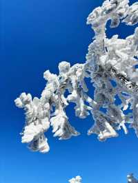 冰雪奇緣龍王山徒步踏, 雪賞霧淞