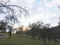 【南寧必打卡|青秀山,藏在城市裡的綠野仙蹤】