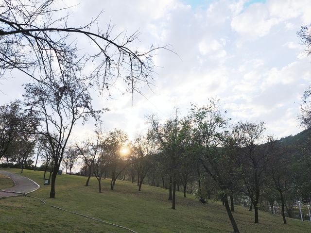 【南寧必打卡|青秀山,藏在城市裡的綠野仙蹤】 【南寧必打卡|青秀山,藏在城市裡的綠野仙蹤】