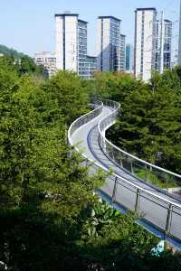 逃離城市喧囂廈門這條山海步道真的封神了