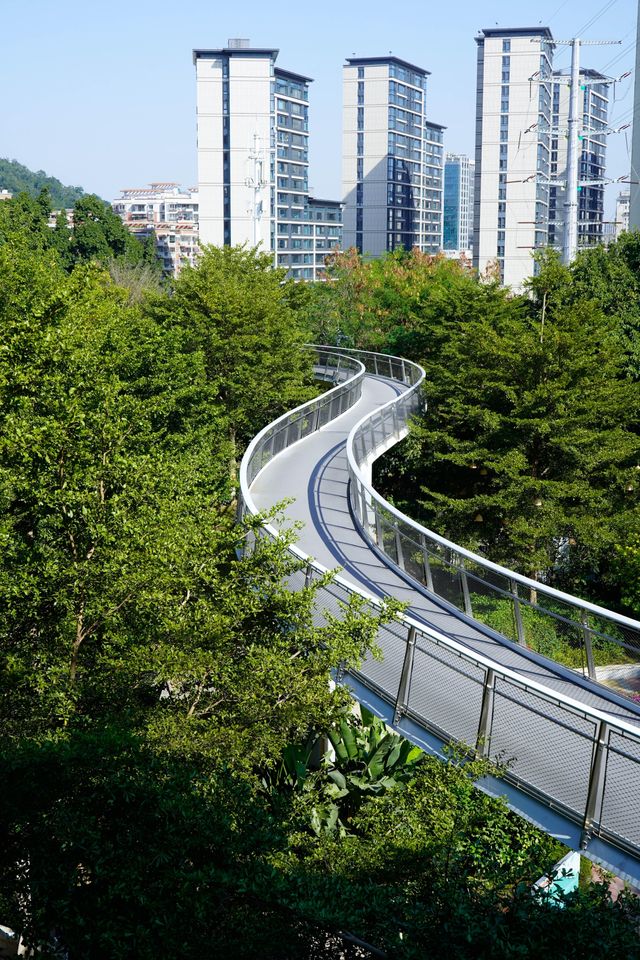 逃離城市喧囂廈門這條山海步道真的封神了