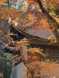 莫干山紅色氛圍已拉滿，趕緊衝！！