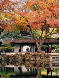 打翻調色盤,最後一次這個視角做寄暢園封面