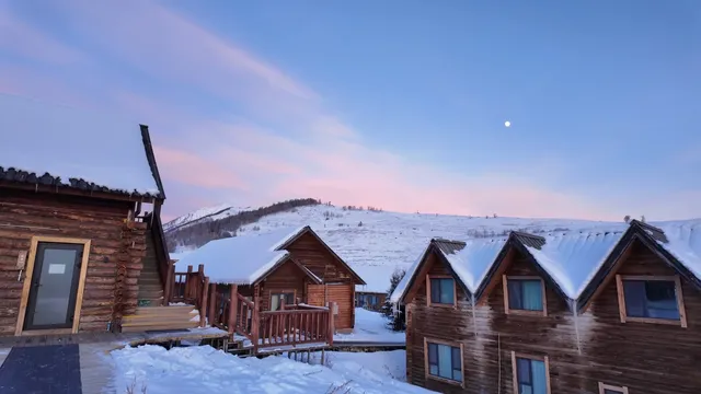 誰懂啊!北疆之旅被國旅司機師傅寵上天 誰懂啊!北疆之旅被國旅司機師傅寵上天