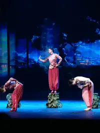 張家界三天兩晚|千古情直接看呆!