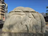 12月1日正定遊之開元寺