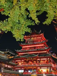 99%的人沒見過這樣的豫園!