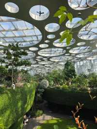 Shanghai Greenhouse Garden – всё, что нужно знать