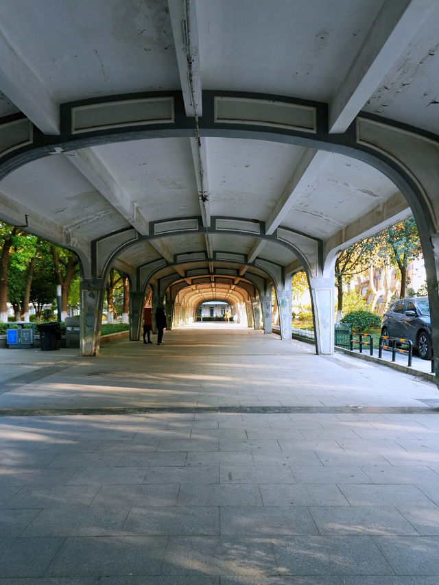 說走就走的金陵之旅2.5天年假邂逅南京的秋 說走就走的金陵之旅2.5天年假邂逅南京的秋