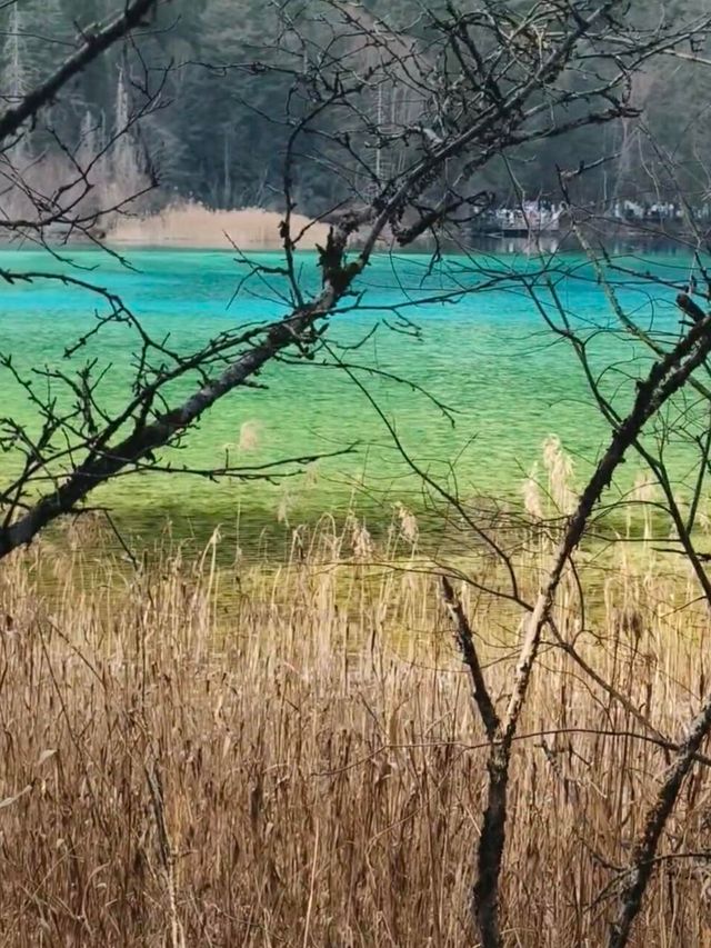 冰凝玉鏡,九寨溝冬日限定暴擊,藍冰琉璃海,美到窒息!