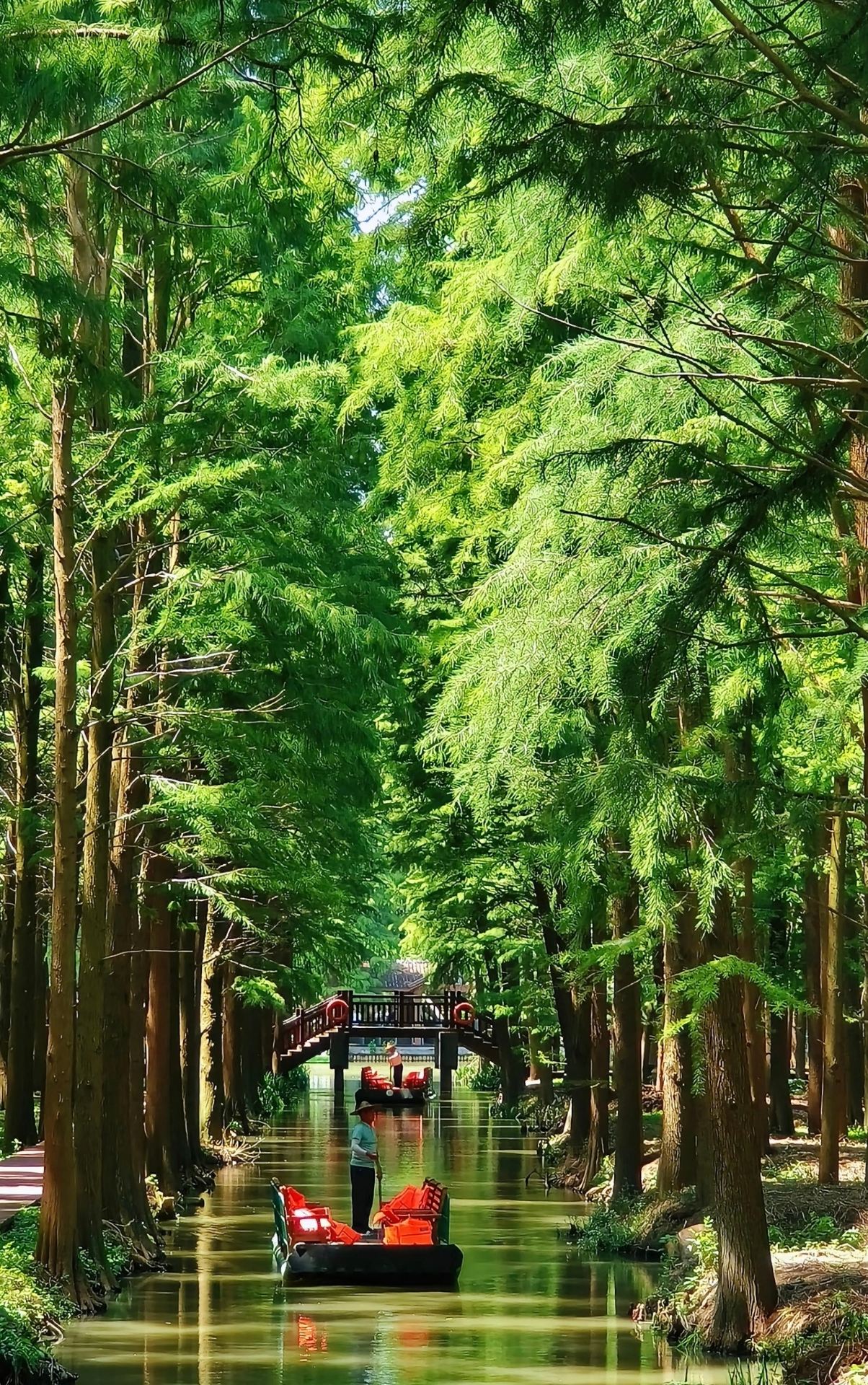 Water Forest Trending All Over Social Media! Photo Spots + Travel Guide All in One