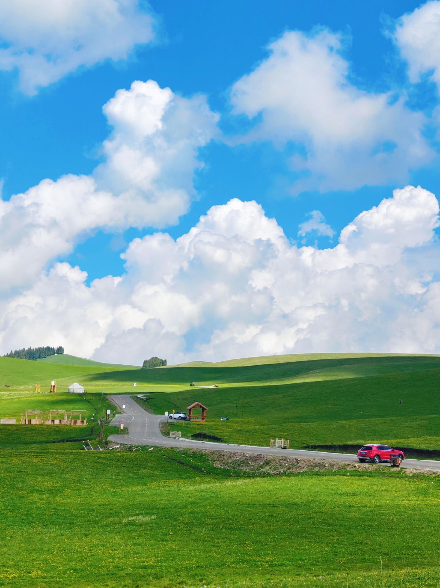 Ili Aktas | Step into a Miyazaki comic-like grassland