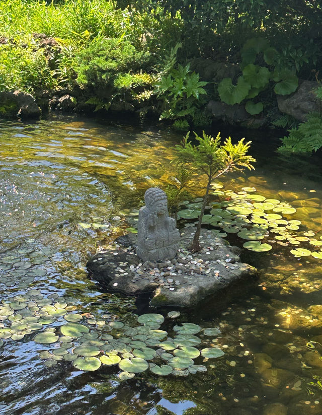 濟州島旅行非常舒適