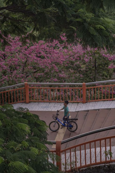 Great spot for spring outings, flower viewing, and taking kids out