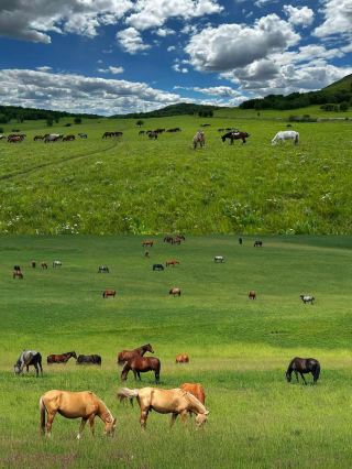 Weekend escape from Beijing to Ulan Butong for 3 days and 2 nights! Heal all city stress