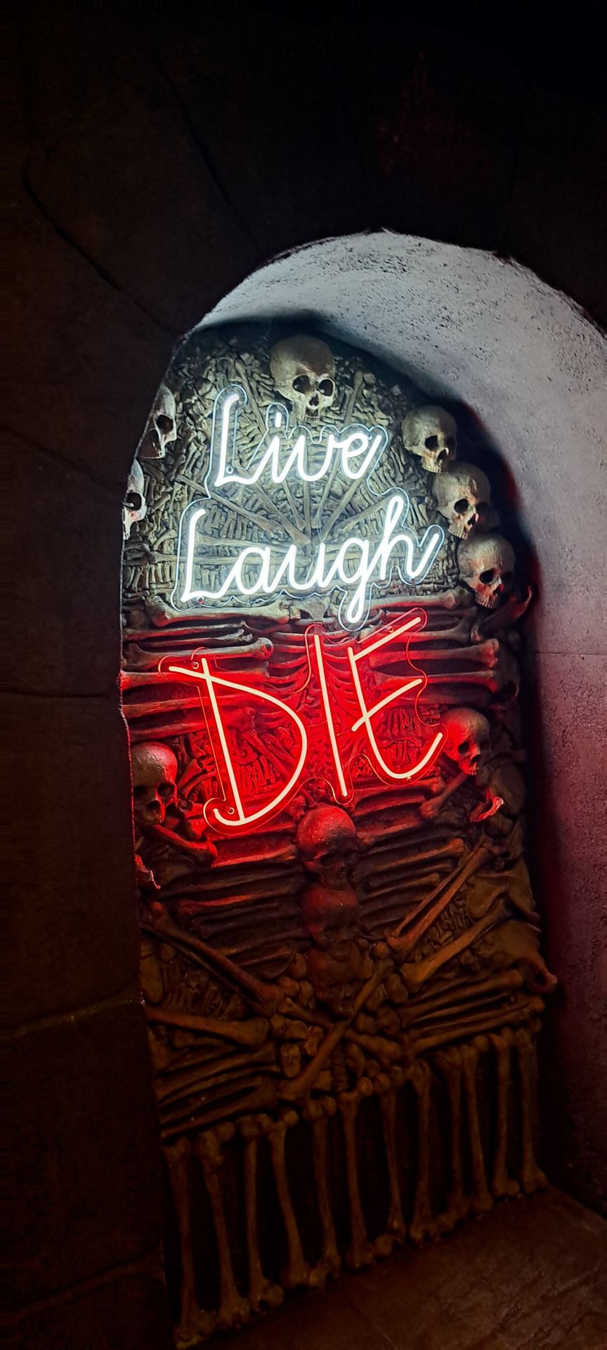 Immersive and Enjoyable Experience with a Few Minor Drawbacks