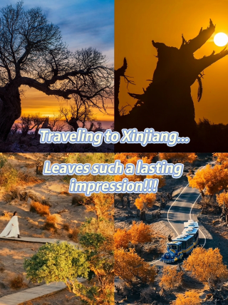 Yiwu Populus Euphratica Scenic Area in Xinjiang! A place you will remember for a lifetime!