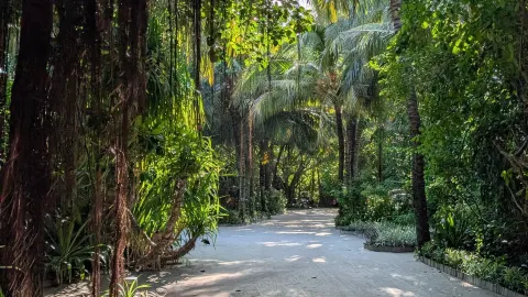 Feels Like a Visit to Caring Grandparents — traveler post in Cuba