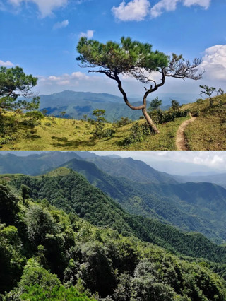 A hidden gem for family trips during the National Day holiday! Bapaishan in Luoding features free alpine meadows—hiking here with kids is so therapeutic!